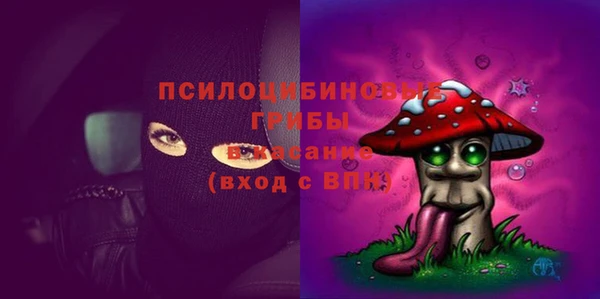 прущие крисы Алексин