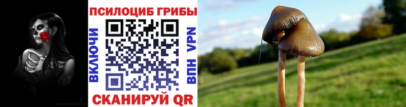 купить закладку  Чкаловск  Псилоцибиновые грибы GOLDEN TEACHER 